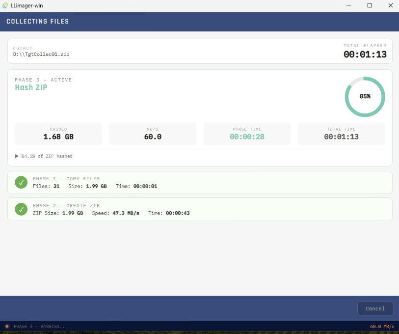LLIMAGER-win  Targeted Processing files View (2)